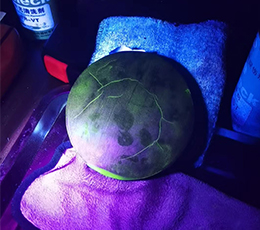 磁粉检测原理及应用领域全解析你知道多少